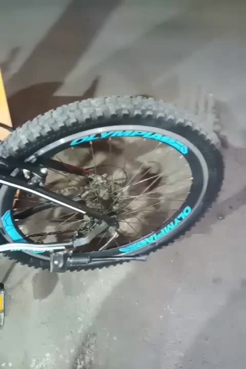 دوچرخهسالمالپیا|دوچرخه، اسکیت، اسکوتر|رشت, شهرک قدس|دیوار