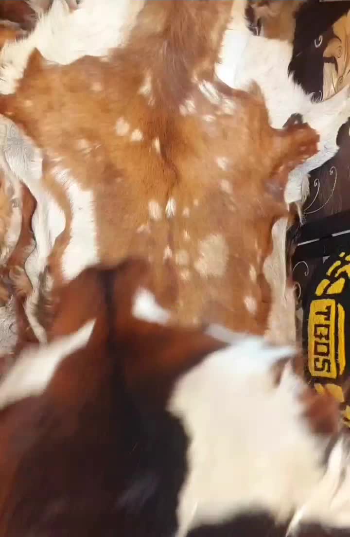 پوست گاو بز گوسفند|صنایع دستی و سایر لوازم تزئینی|تهران, تهرانپارس غربی|دیوار