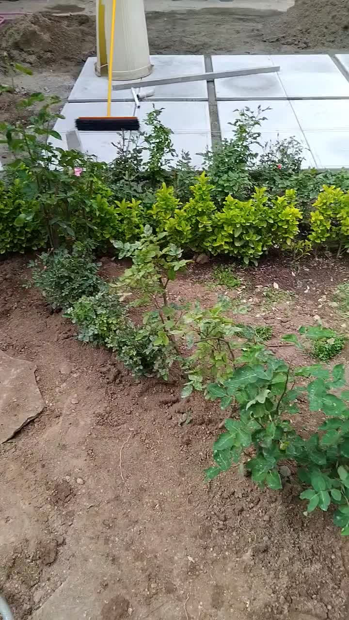 خدمات باغبانی گل گیاه آپارتمانی  گل کاری سمپاشی|خدمات باغبانی و درختکاری|تهران, تجریش|دیوار