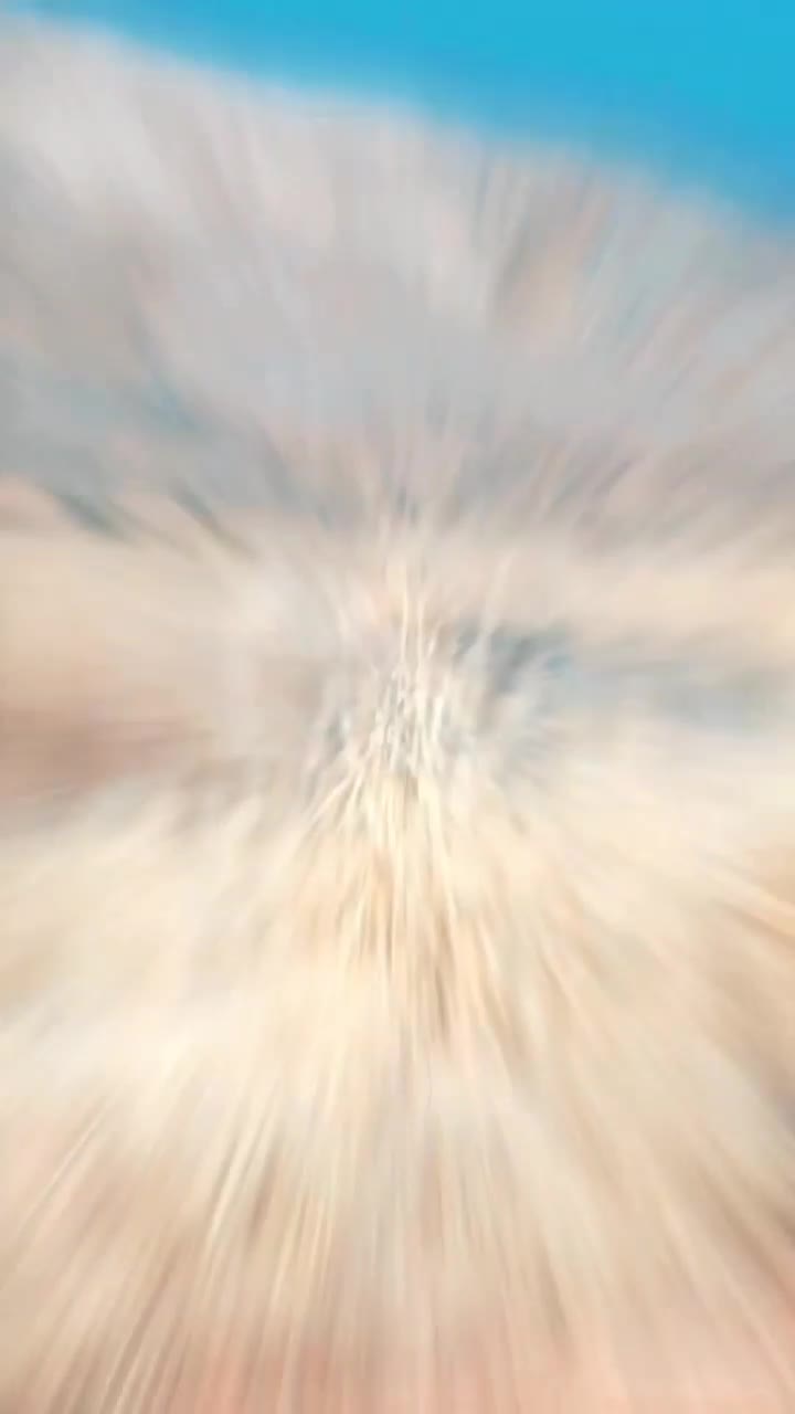 مبل عالیجناب|مبلمان خانگی و میز عسلی|شیراز, شهرک امام حسن|دیوار