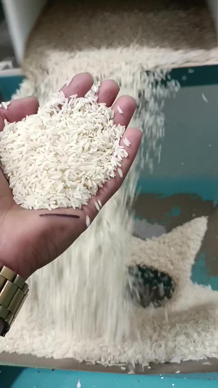 برنج هاشمی|عمده‌فروشی|دره رود, |دیوار