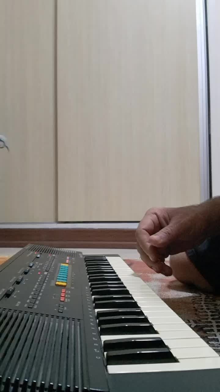 CASIO MT 540|پیانو، کیبورد، آکاردئون|شیراز, شهرک ایثار|دیوار