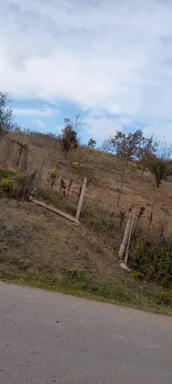 فروش زمین بحر اصلی|فروش زمین و ملک کلنگی|کیاسر, |دیوار