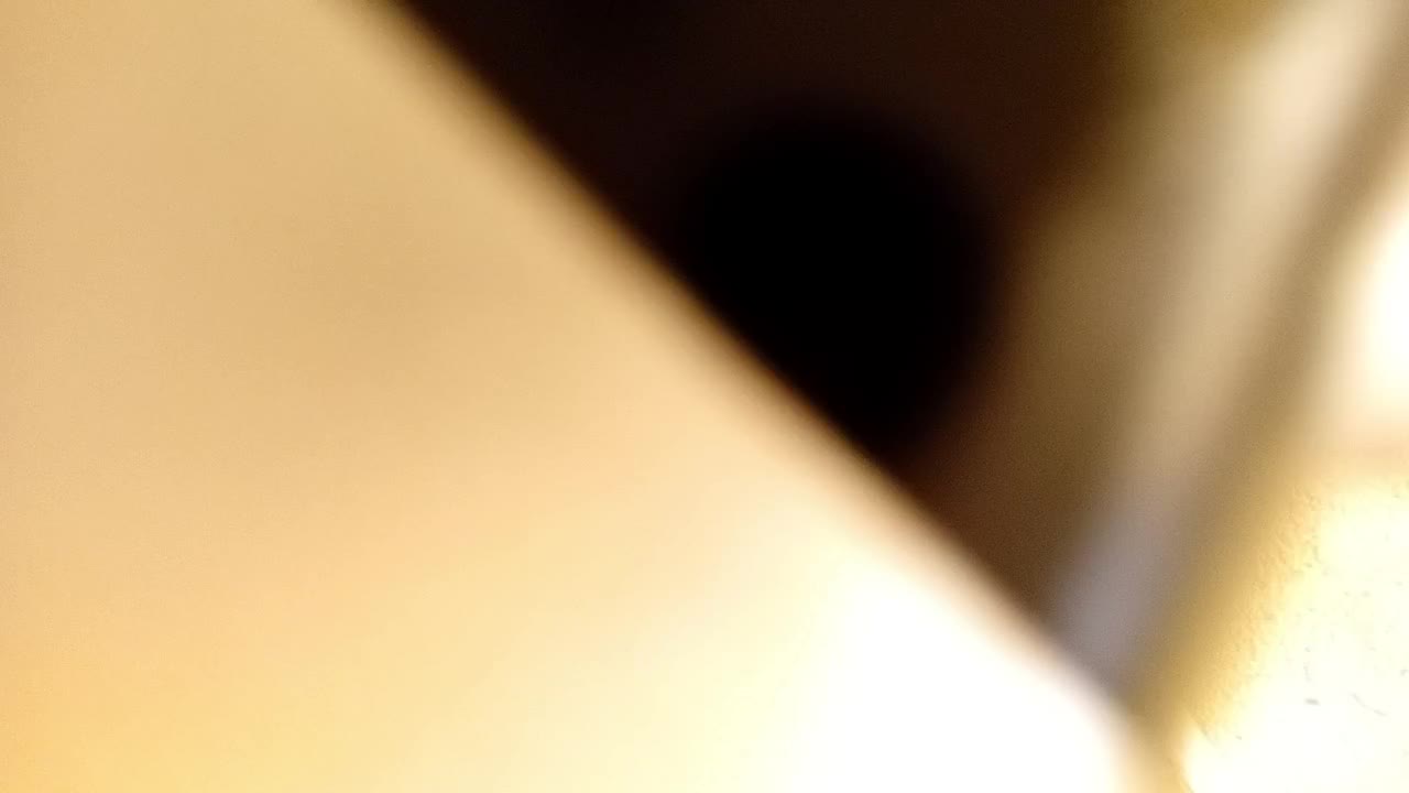 دوچرخه ۲۶ ویگو حرفه ای|دوچرخه، اسکیت، اسکوتر|کرمانشاه, |دیوار