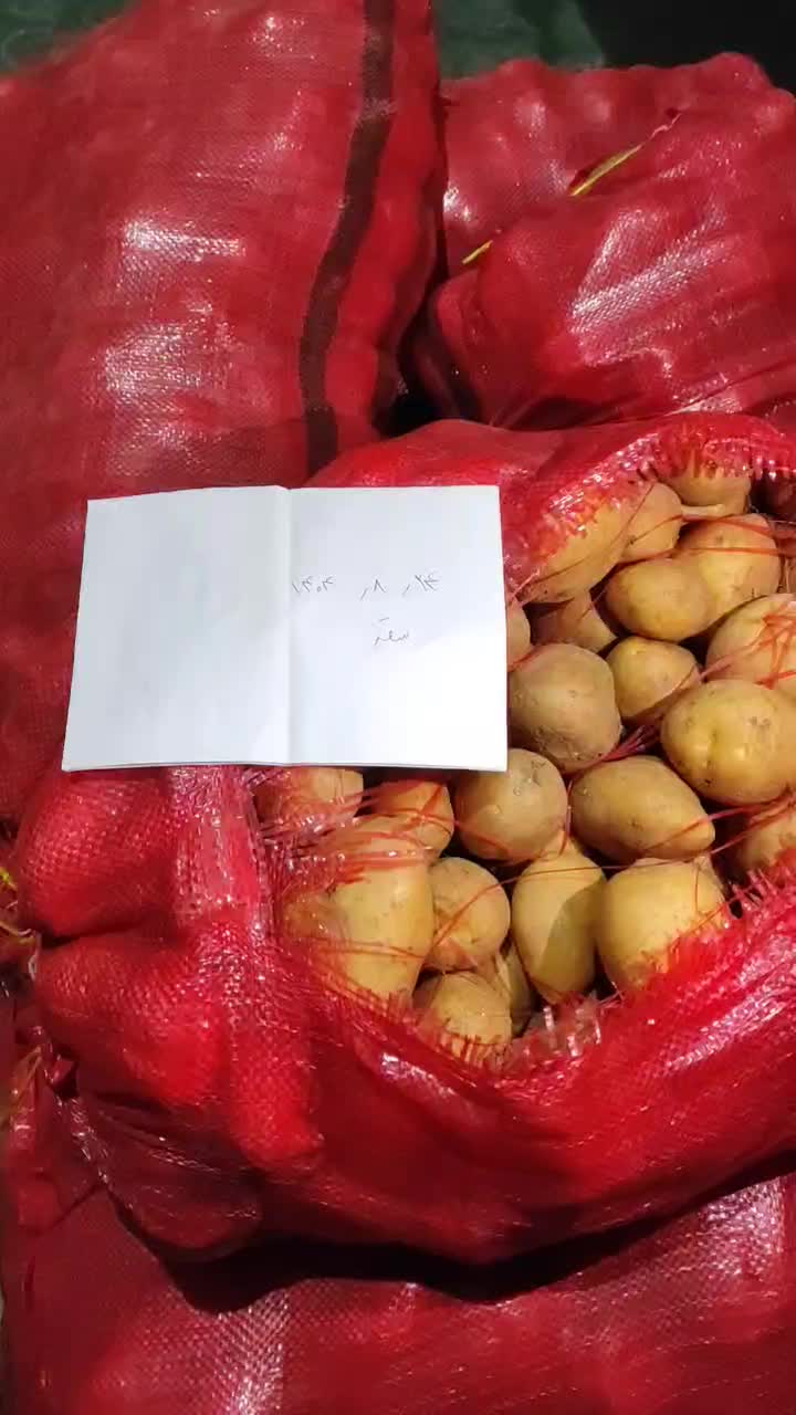 سیب زمینی بامبا|خوردنی و آشامیدنی|زیویه, |دیوار