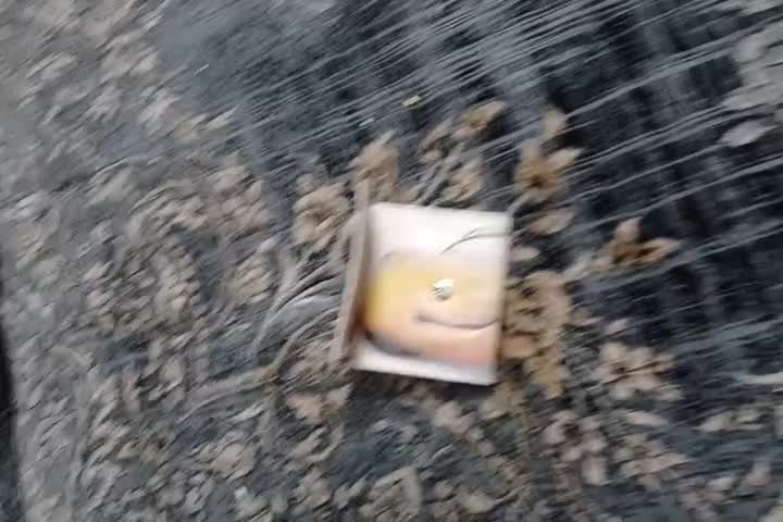 کیف پول|کیف، کفش، کمربند|قم, ناصردیوان|دیوار