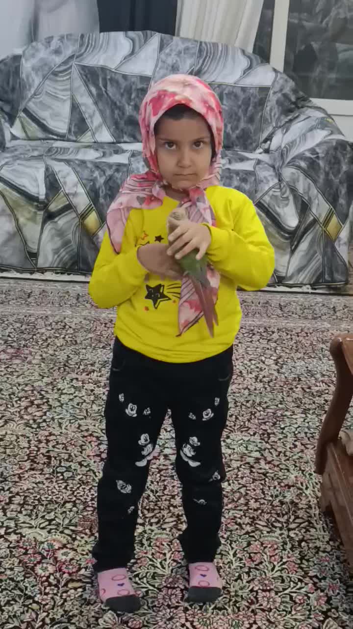 گرینچیک|پرنده|کرمان, |دیوار