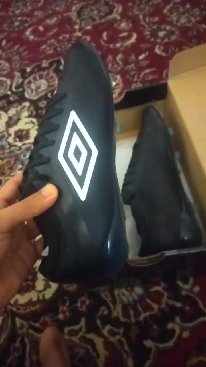 کفش ورزشی|کیف، کفش، کمربند|دوگنبدان, |دیوار