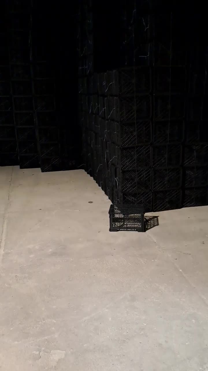 تولیدی سبد میوه و گوجه|ظروف نگهدارنده، پلاستیکی، یک‌بارمصرف|جهرم, |دیوار