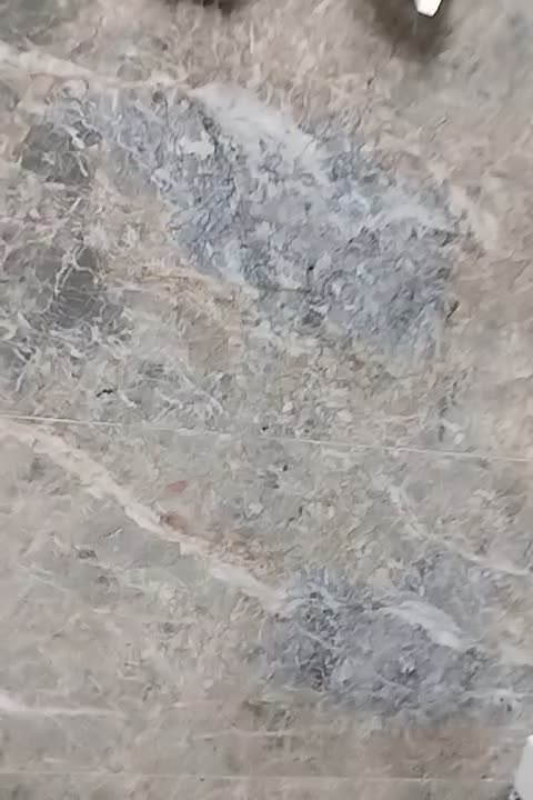 ملک تجاری ومسکونی به قیمت کارشناسی|فروش مغازه و غرفه|تربت‌حیدریه, ترمینال|دیوار