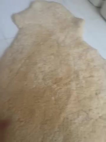 پوست گوسفند مرینوس استرالیایی. وارداتی|صنایع دستی و سایر لوازم تزئینی|تهران, چهارصد دستگاه|دیوار