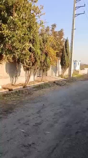 باغ ویلا مبله|فروش خانه و ویلا|گلستان (تهران), |دیوار