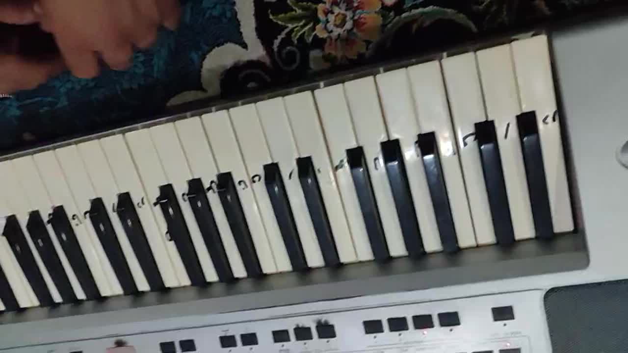 ارگ pa 50 تبدیل خورده به 80|پیانو، کیبورد، آکاردئون|بجنورد, |دیوار