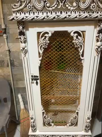 فنچ|پرنده|بهارستان, |دیوار