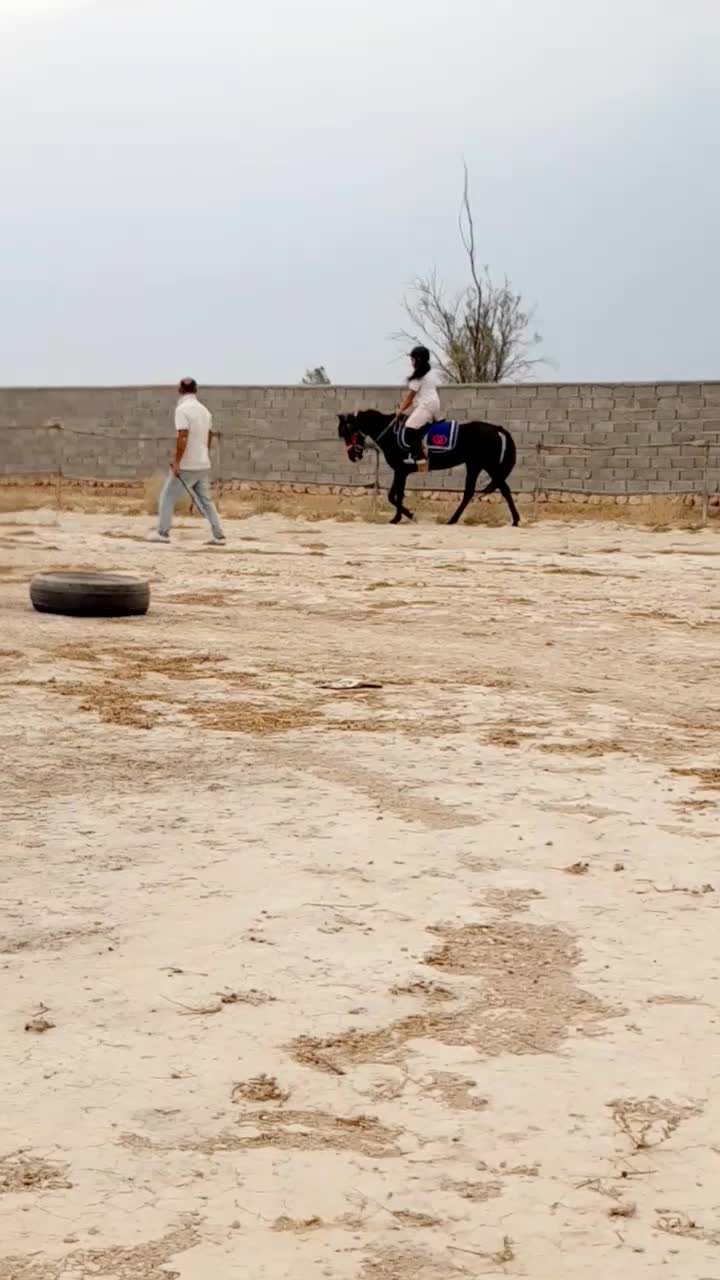 اسب|اسب و تجهیزات اسب‌سواری|اوز, |دیوار