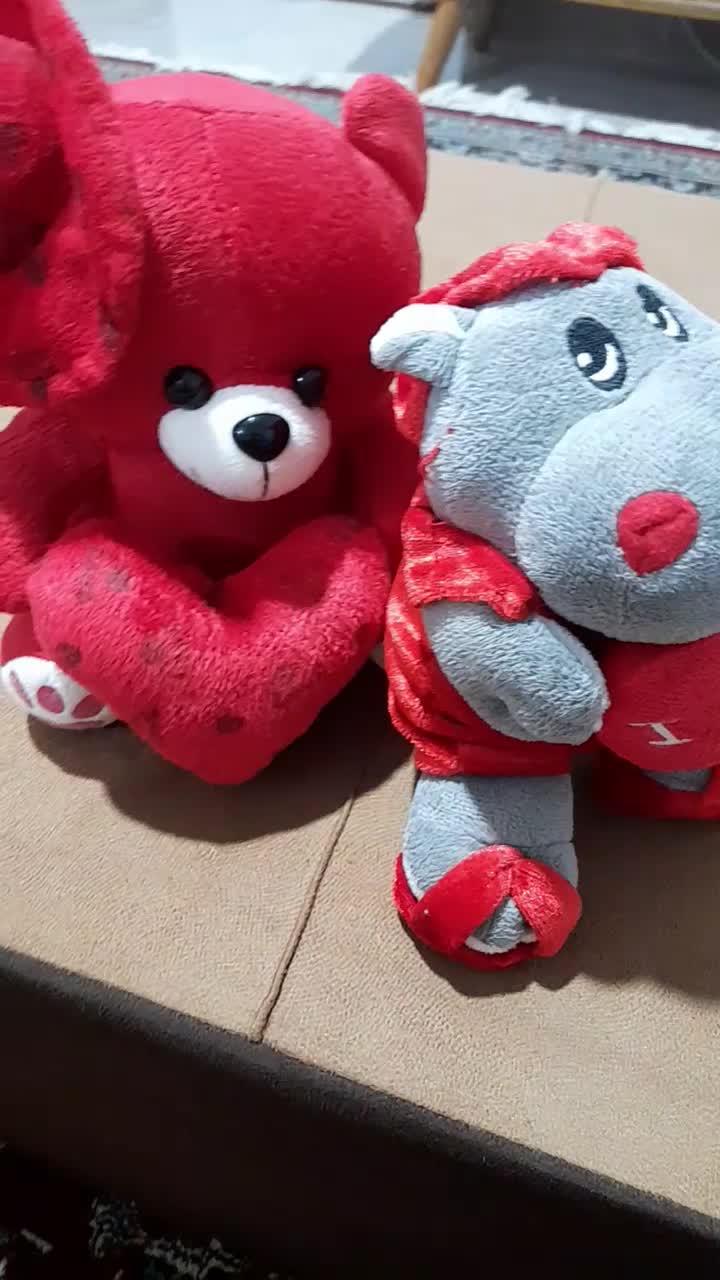 عروسک|اسباب‌بازی بچه|رشت, حمیدیان|دیوار