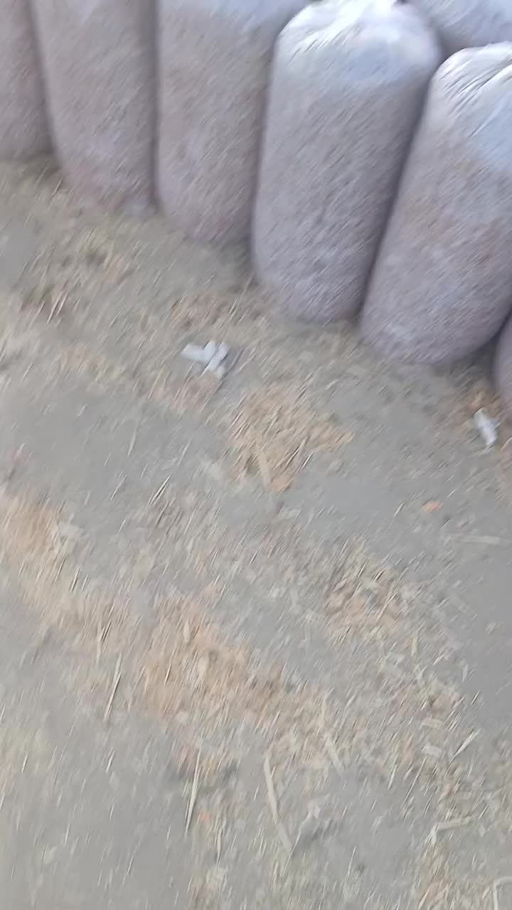 فروش عمده خوراک دام|لوازم جانبی حیوانات|اردبیل, |دیوار