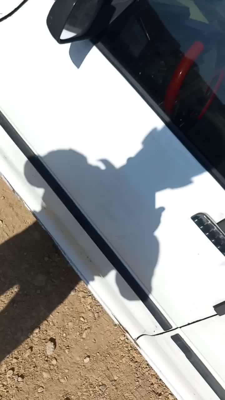 فروش پراید|خودرو سواری و وانت|کامفیروز, |دیوار