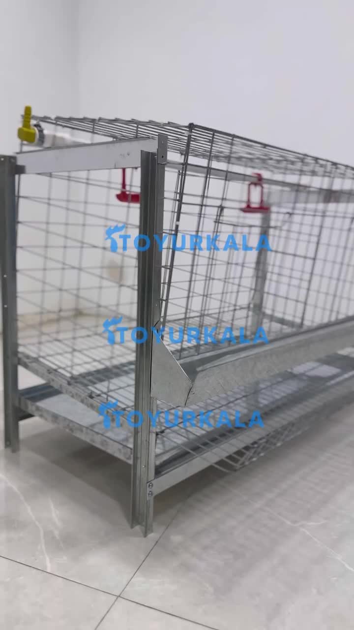 انواع باکس قفس|لوازم جانبی حیوانات|اهر, |دیوار