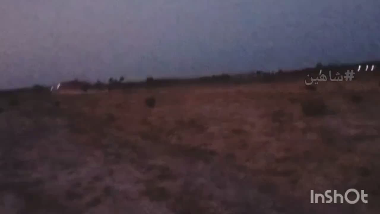 اسب|اسب و تجهیزات اسبسواری|جیرفت, |دیوار