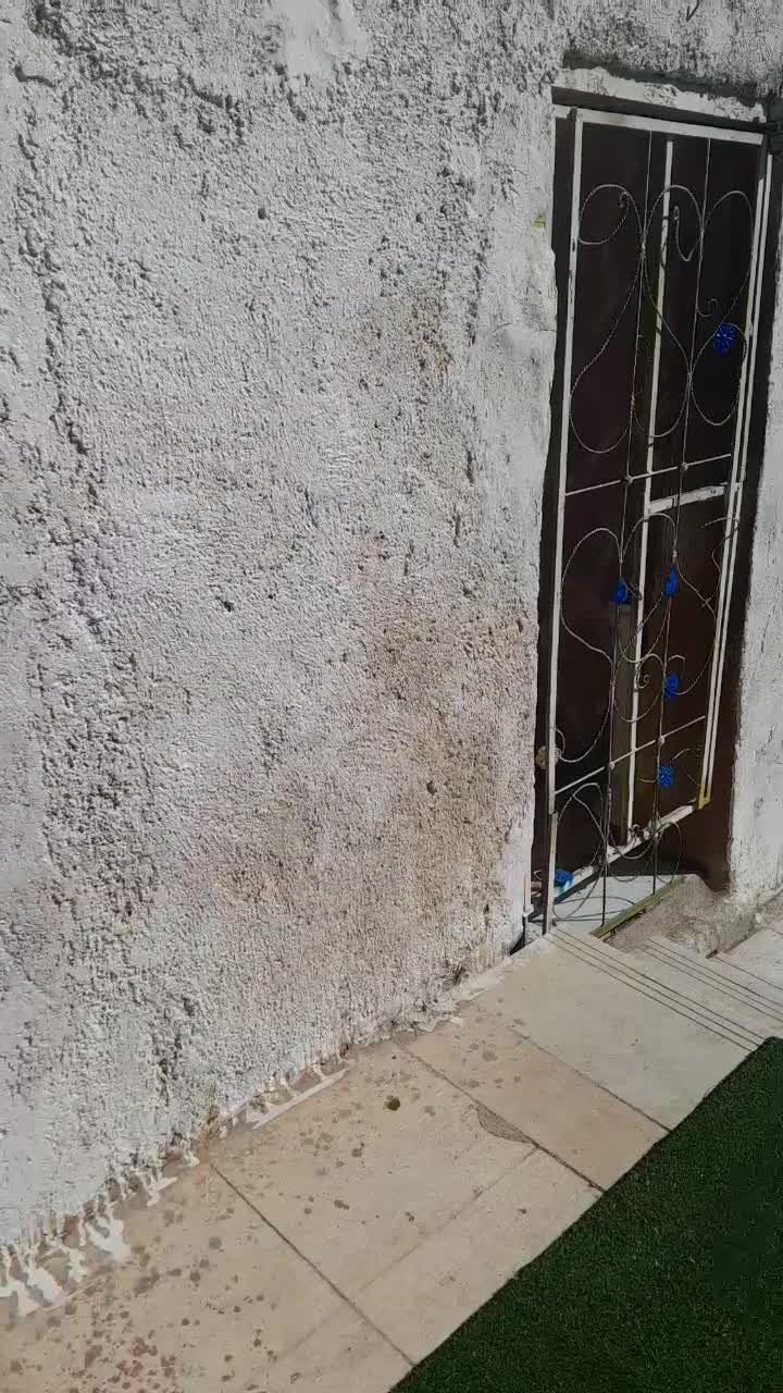 سالن عقد،تولدوجشن آساره ظرفیت ۵۰۰نفر۲سالن مجزا|خدمات پذیرایی، مراسم|خرمآباد, |دیوار