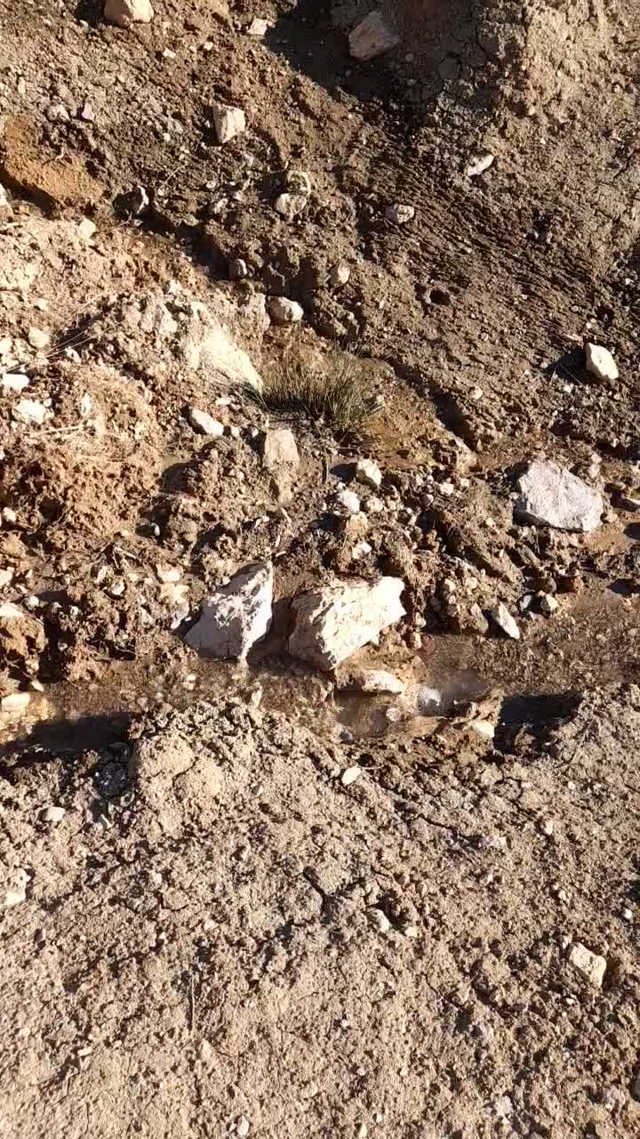 فروش ۳.۸هکتار باغ و زمین|فروش دفتر صنعتی، کشاورزی، تجاری|فارسان, |دیوار