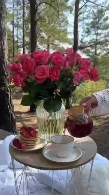 اجاره روزانه/هفتگی/ماهانه ویلا ۱۱۰ متری|اجارهٔ کوتاه‌مدت ویلا و باغ|رضوانشهر, |دیوار