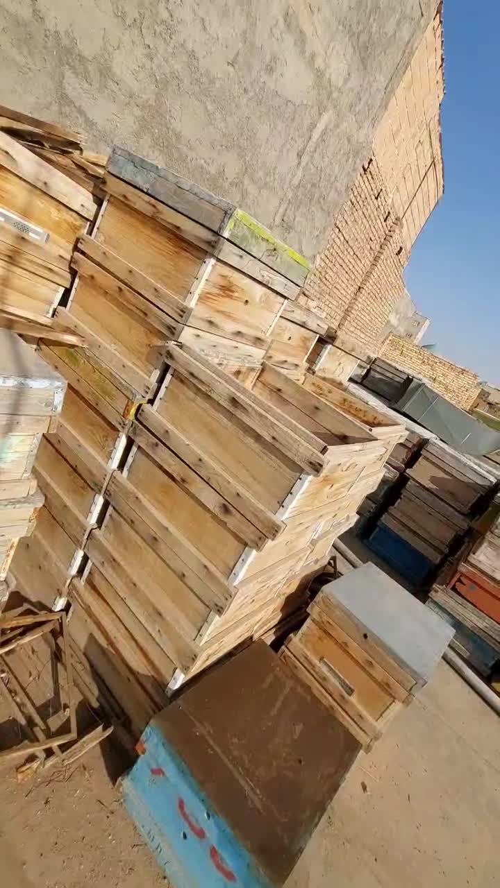 کندو زنبور|عمده‌فروشی|کاشمر, |دیوار