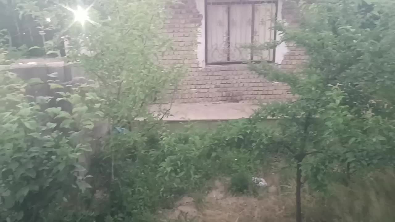 باغ ویلا 700متری سویت اجاره گلدشت کنار رود خانه|اجارهٔ کوتاهمدت ویلا و باغ|بروجرد, |دیوار