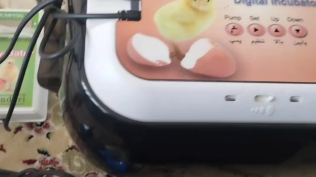 فروش دستگاه و وسایل جوجه کشی|لوازم جانبی حیوانات|شهرکرد, |دیوار