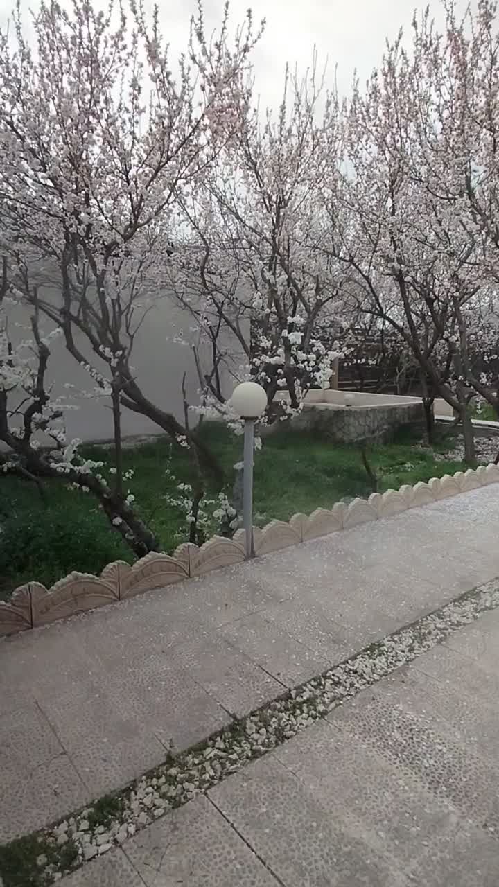 اجاره باغ ویلا با استخرآبگرم سرپوشده مستقیم ازمالک|اجارهٔ کوتاهمدت ویلا و باغ|تهران, یافت آباد جنوبی|دیوار