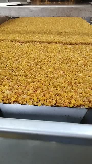 فروش انواع کشمش با بهترین کیفیت|خوردنی و آشامیدنی|قزوین, |دیوار