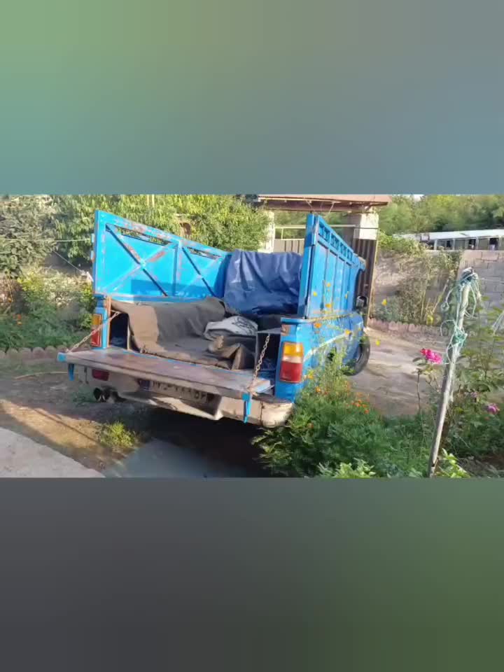 برنج هاشمی اعلای گیلان|خوردنی و آشامیدنی|تهران, مختاری|دیوار