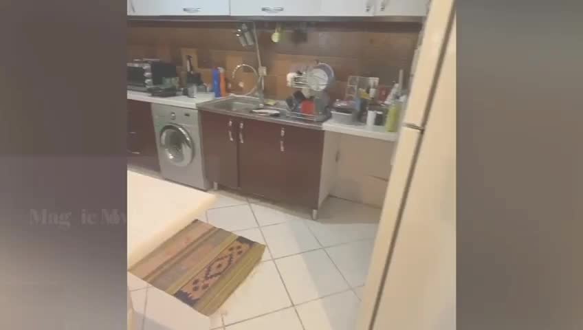 اجاره در قلب ونک|اجارهٔ آپارتمان|تهران, ونک|دیوار