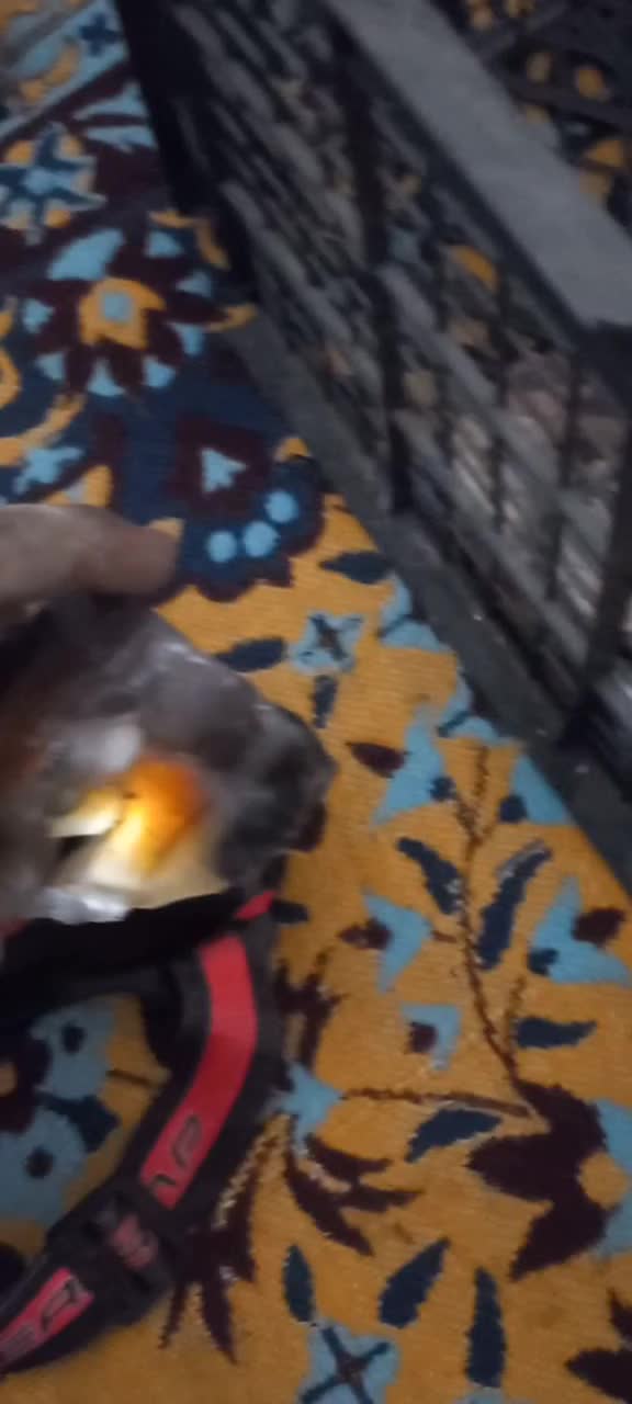 چند کیلو سنگ اصل|کلکسیون و سرگرمی|یزد, |دیوار