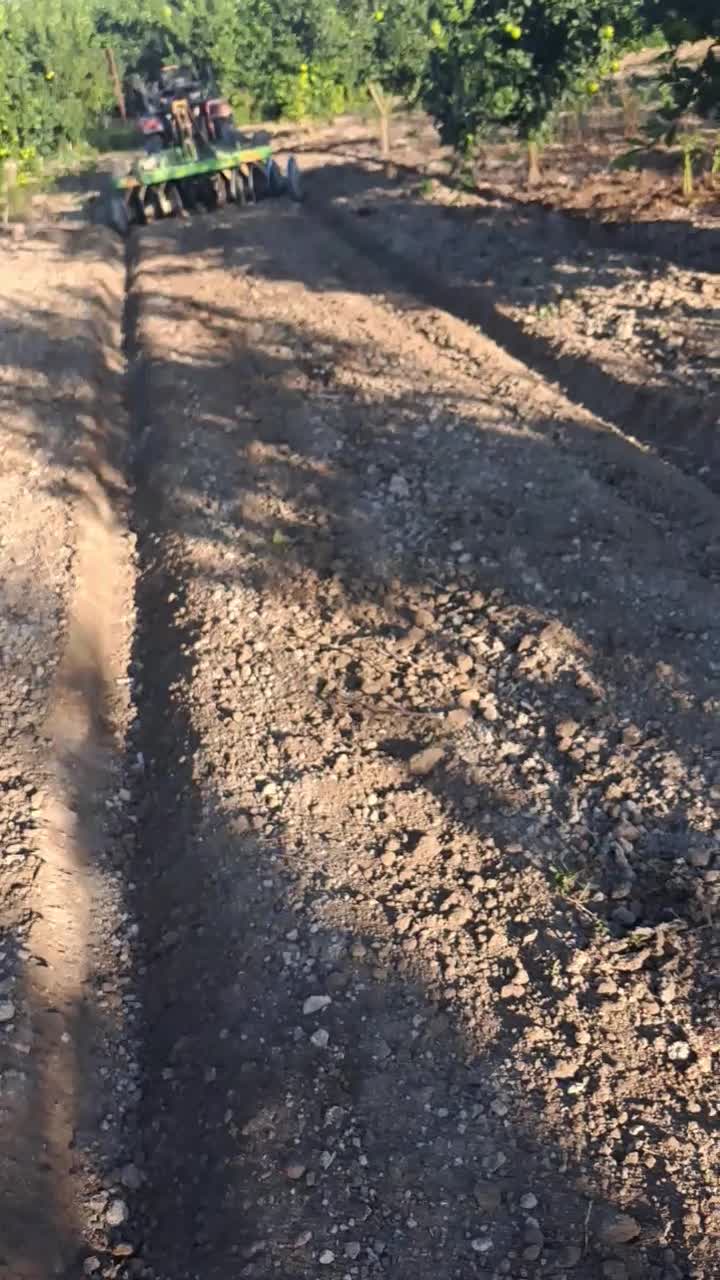 ساخت دیسک تراکتور باغی|ماشینآلات صنعتی|نوکنده, |دیوار