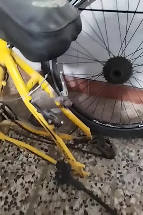 دوچرخه سایز ۲۶|دوچرخه، اسکیت، اسکوتر|نجفآباد, جلال آباد|دیوار