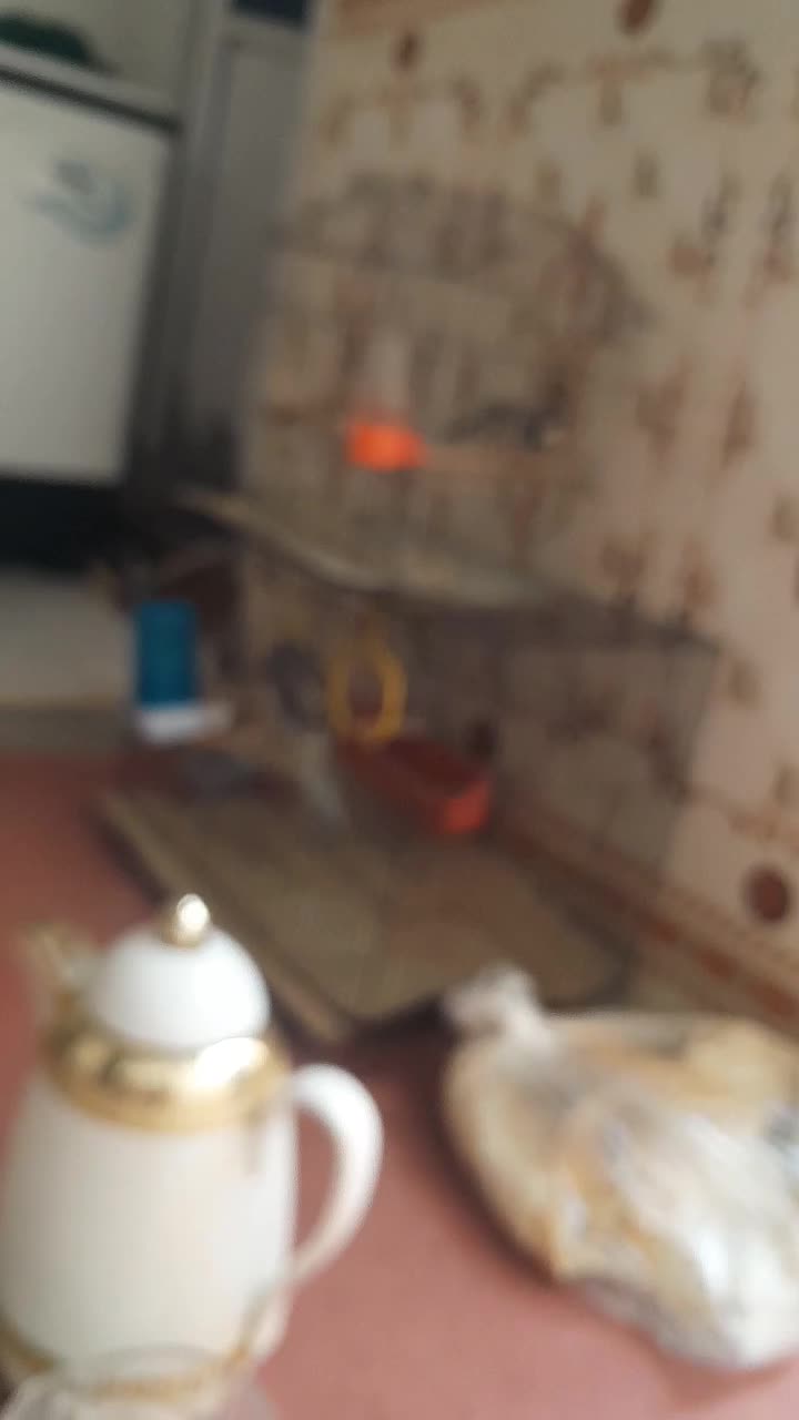 عروس پاریس|پرنده|اهواز, کمپلو جنوبی|دیوار