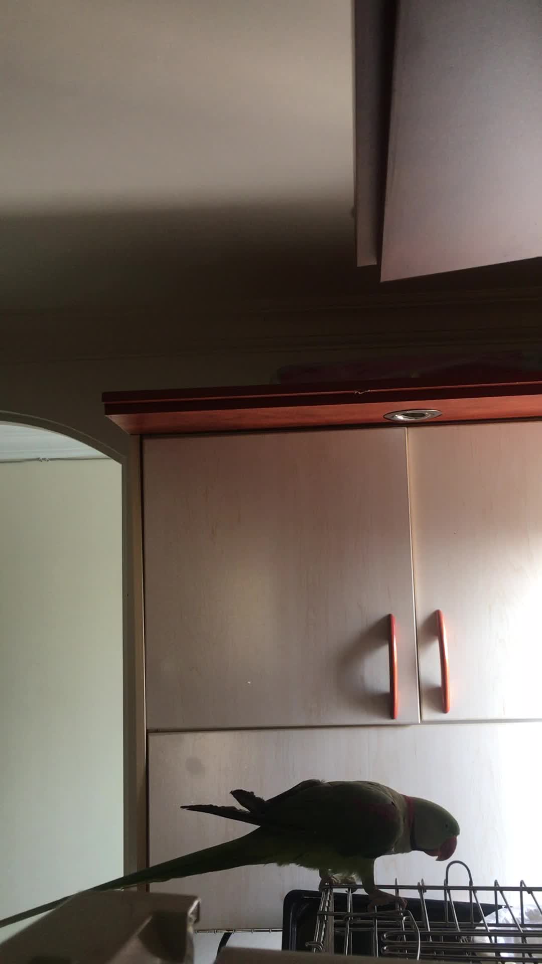 0919.4567.487|سیم‌کارت|تهران, امانیه|دیوار