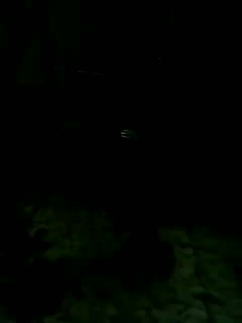 ماهی|ماهی|کاشمر, |دیوار