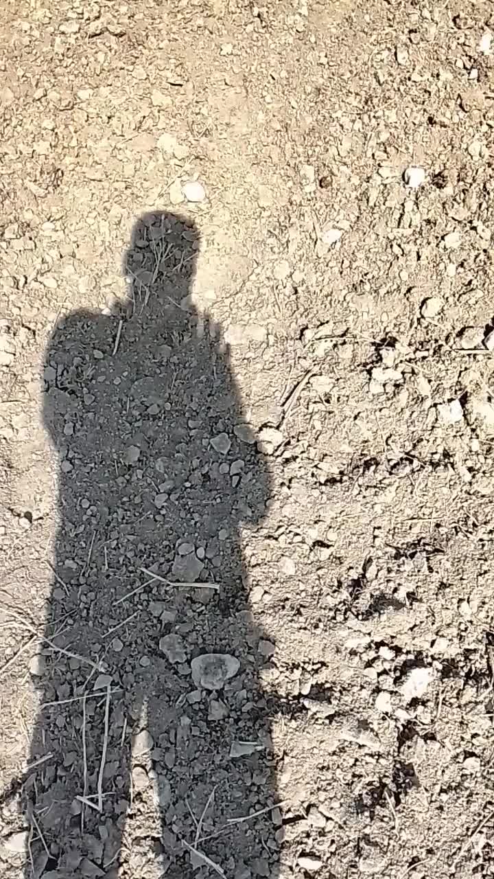 روستای دهنه اخلمد|ماشین‌آلات صنعتی|چناران, |دیوار