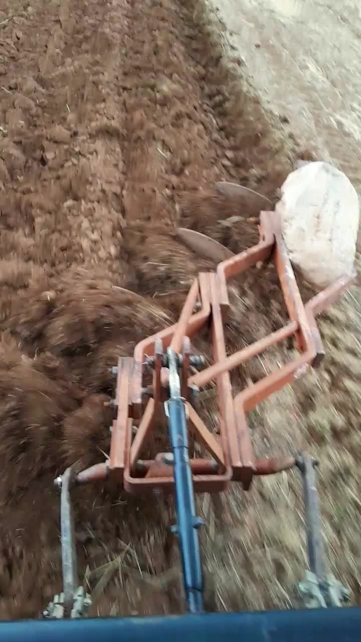 شخم زدن و انجام خدمات کشاورزی|خدمات باغبانی و درختکاری|صحنه, |دیوار