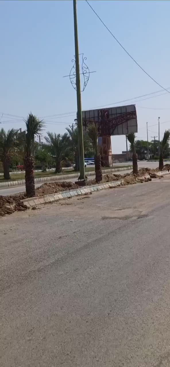 لیمو ترش نخل خرما زمین از شما نخل خرما از ما|خدمات باغبانی و درختکاری|اهواز, اهواز|دیوار