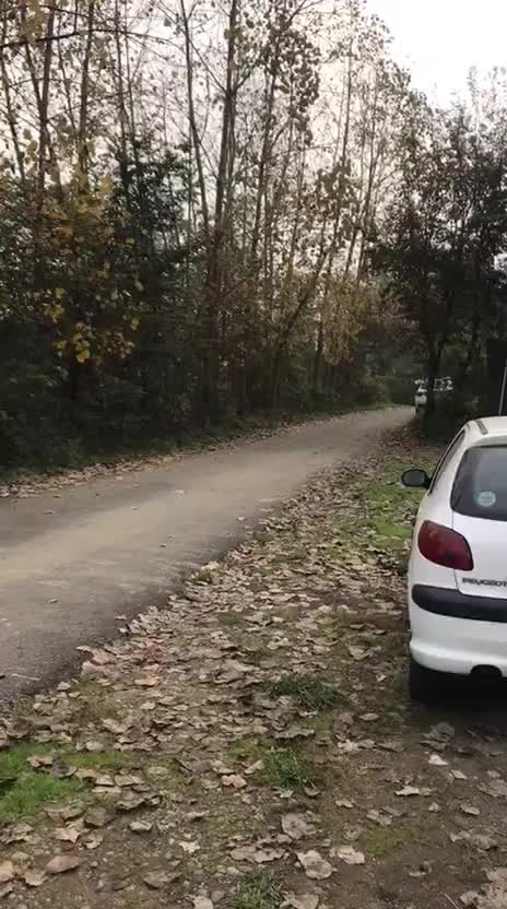 زمین روستایی و خانه ویلایی|فروش زمین و ملک کلنگی|لاهیجان, آهندان|دیوار