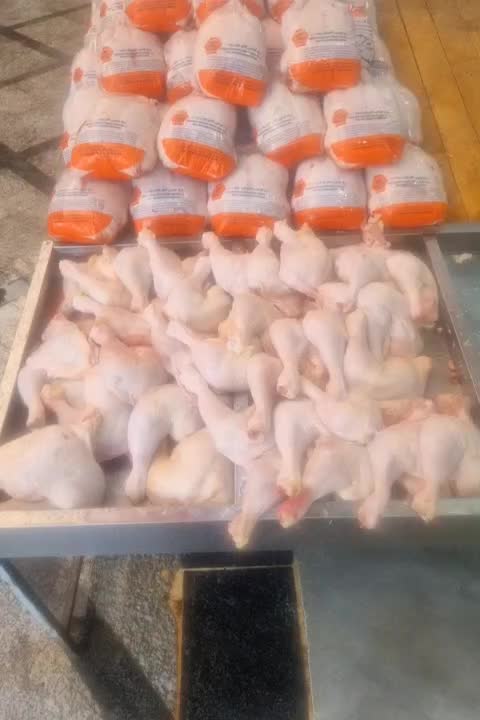 مرغ خرد کن یا بیخسکار مرغ|استخدام خدمات فروشگاه و رستوران|اسلامشهر, شهرک مفیدی|دیوار