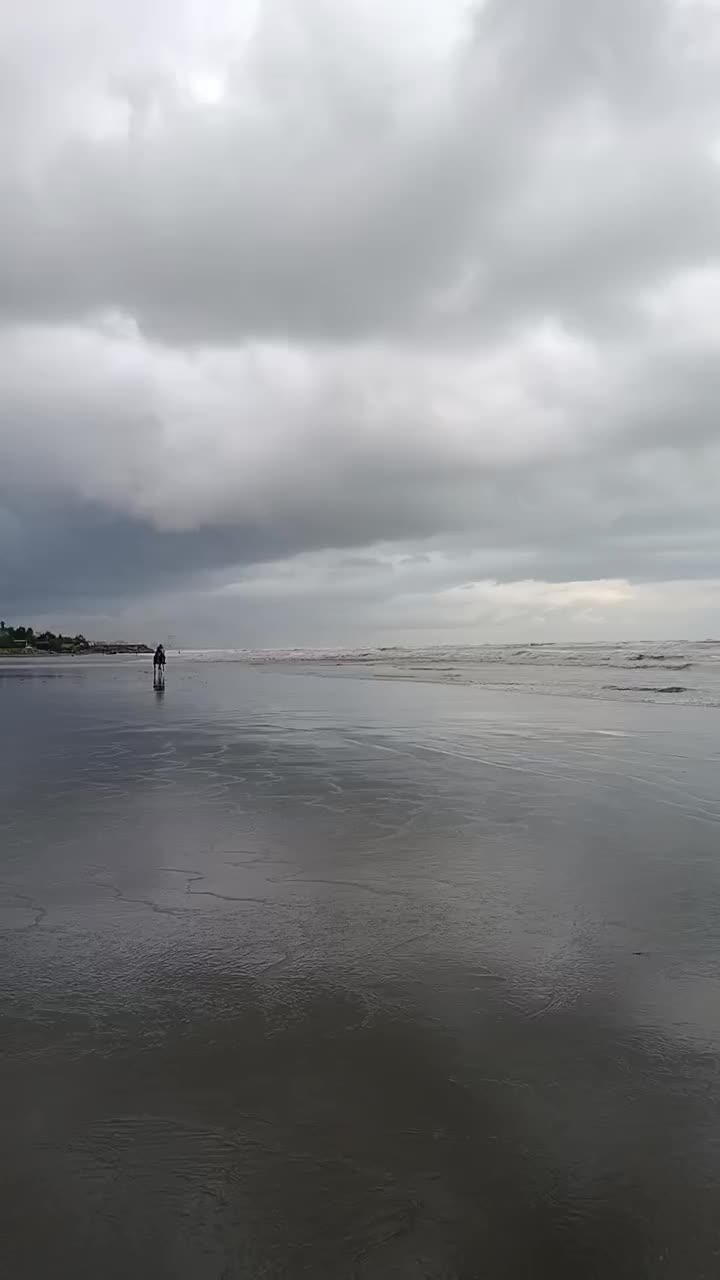 اسب نریان ترکمن|اسب و تجهیزات اسبسواری|تنکابن, |دیوار