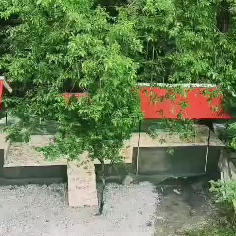 اجاره روزانه/هفتگی/ماهانه ویلا ۶۰۰ متری در تالش|اجارهٔ کوتاهمدت ویلا و باغ|تالش, تالش|دیوار