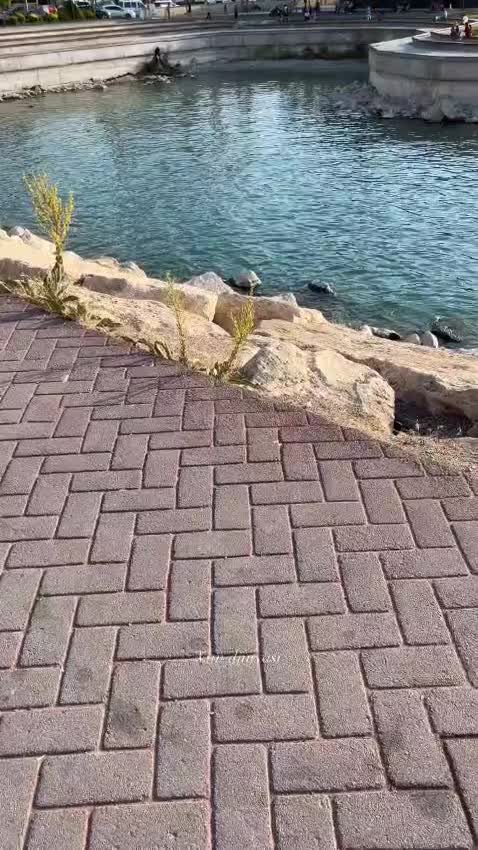 تور گروهی وان هالوین|تور و چارتر|رشت, صفاری|دیوار