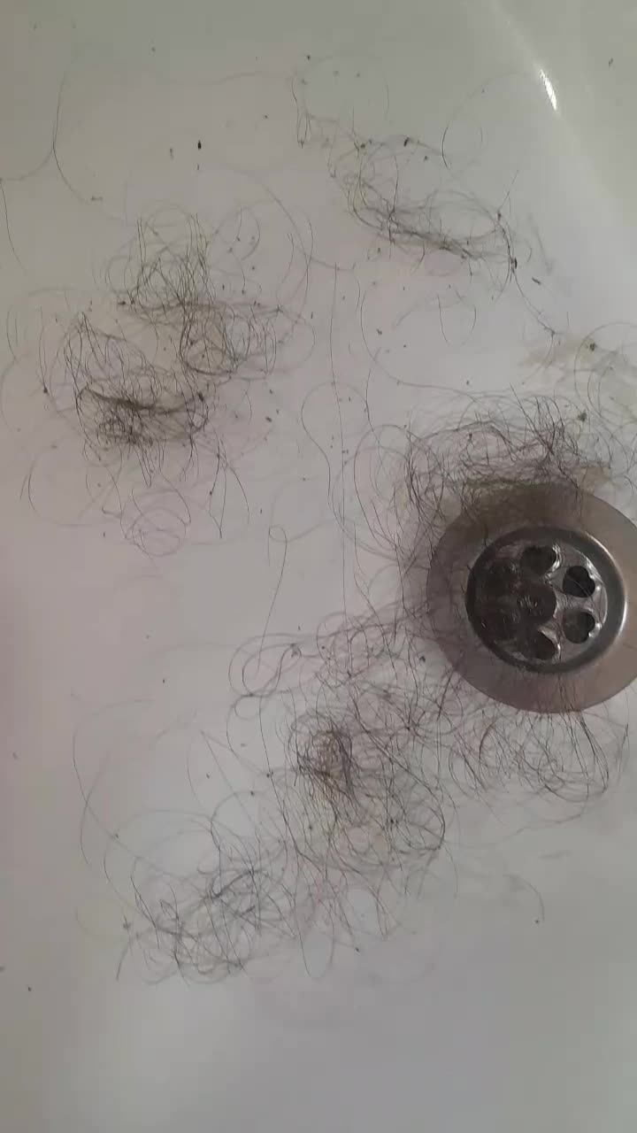 پاکسازی رشک وشپش در یک جلسه|خدمات آرایشگری و زیبایی|ورامین, شهرک مدرس|دیوار