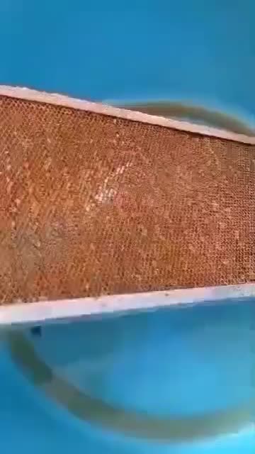 پودر چربی زدا|مواد شوینده و دستمال کاغذی|بندر ماهشهر, |دیوار